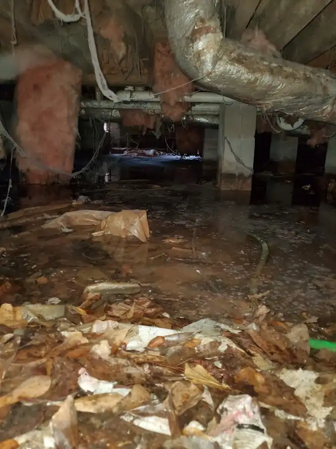 Crawl space flood assessment for Commercial Water Damage Restoration in Nanticoke