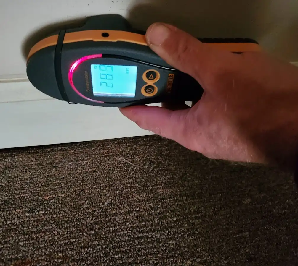 Moisture detection at baseboard during Sewage Cleanup & Sanitation in Nanticoke